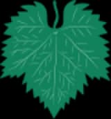 wine leaf image